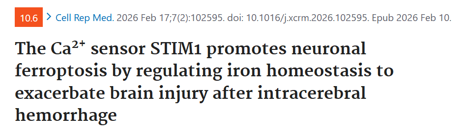 项目文章IF=10：STIM1调控铁稳态促神经元铁死亡加重脑出血脑损伤